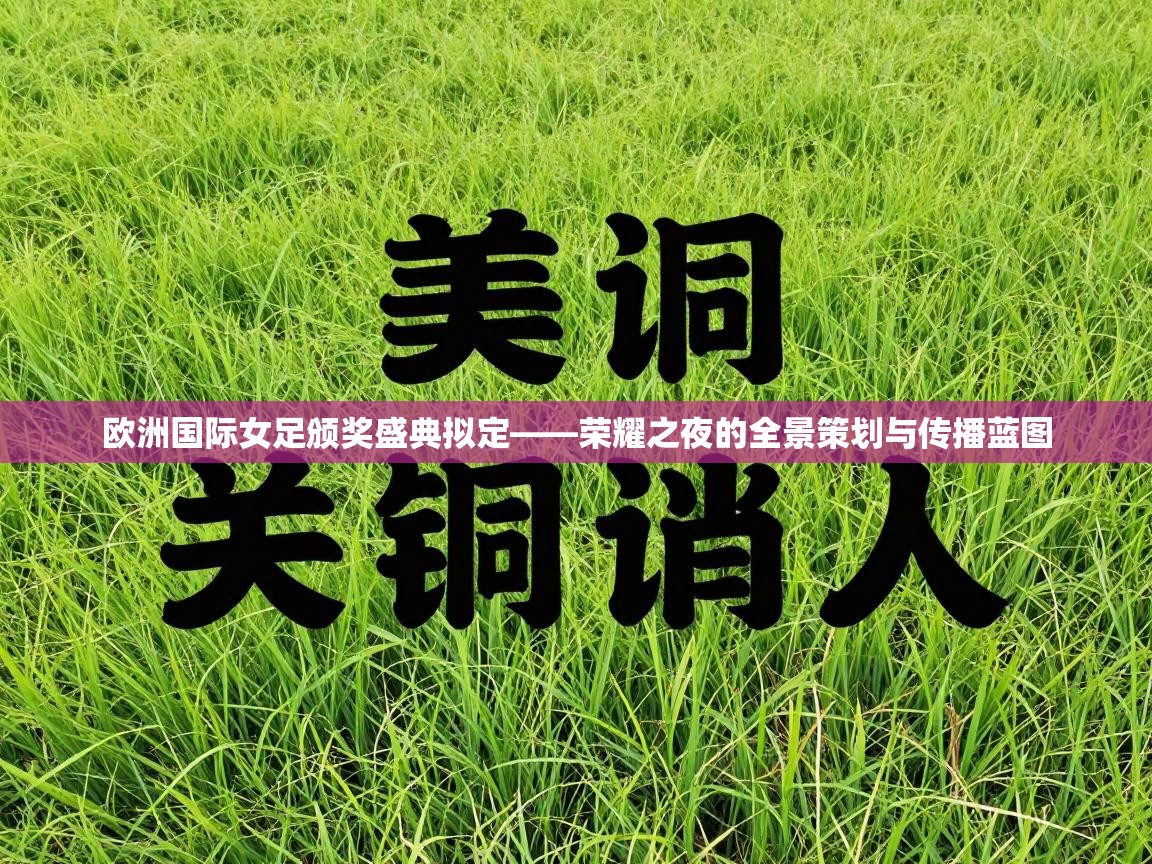 欧洲国际女足颁奖盛典拟定——荣耀之夜的全景策划与传播蓝图  第2张