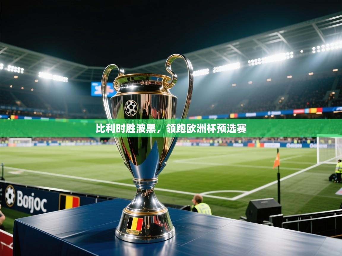 比利时胜波黑,领跑欧洲杯预选赛 第2张