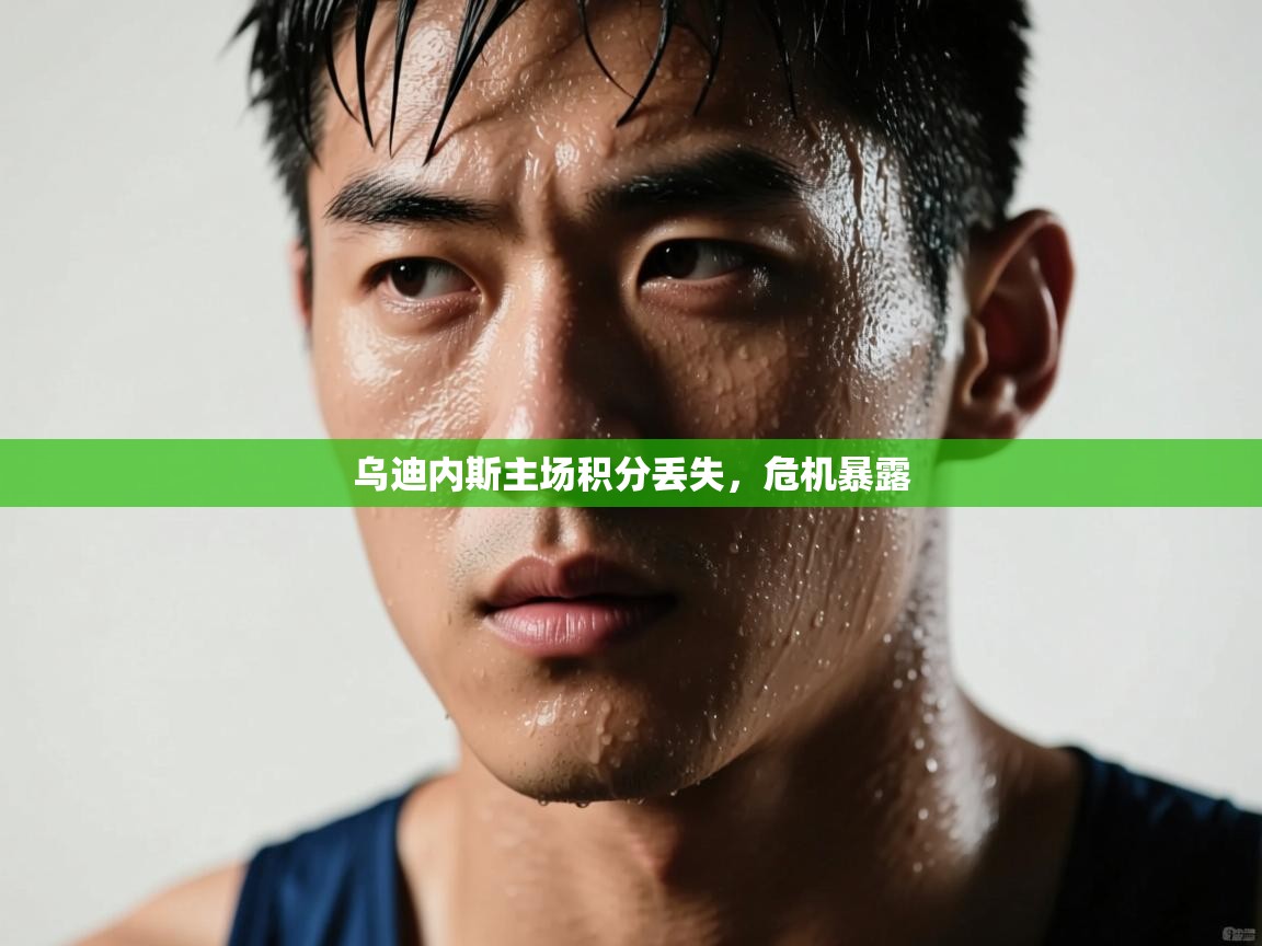 乌迪内斯主场积分丢失，危机暴露  第2张