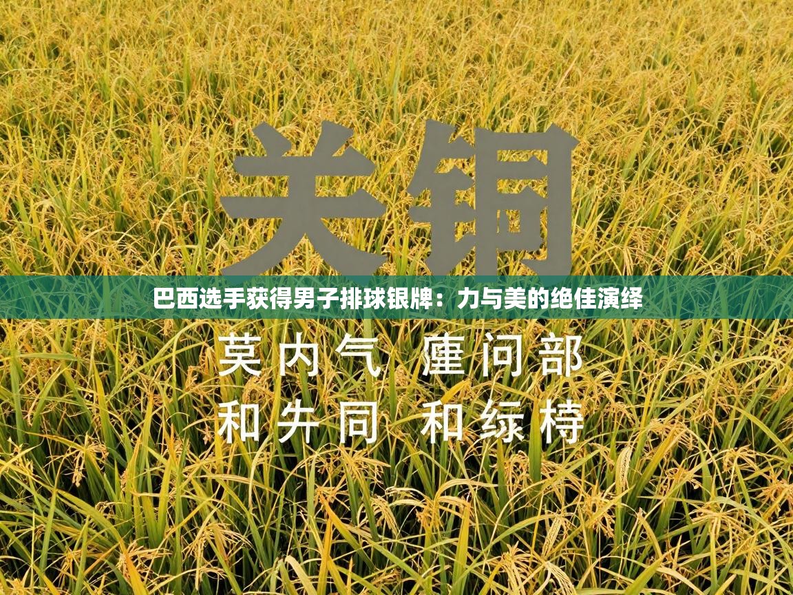 巴西选手获得男子排球银牌：力与美的绝佳演绎