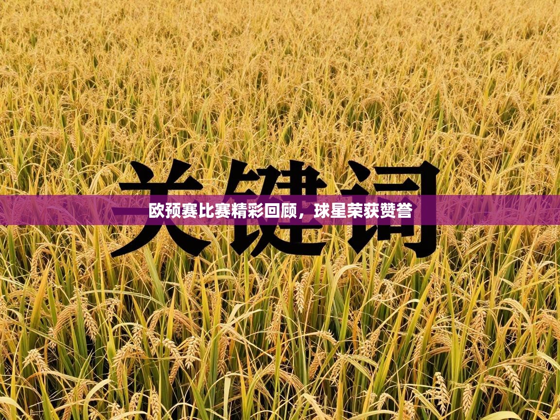 欧预赛比赛精彩回顾，球星荣获赞誉